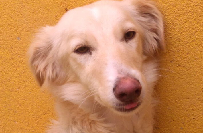 multimedia-foto62631-94-1