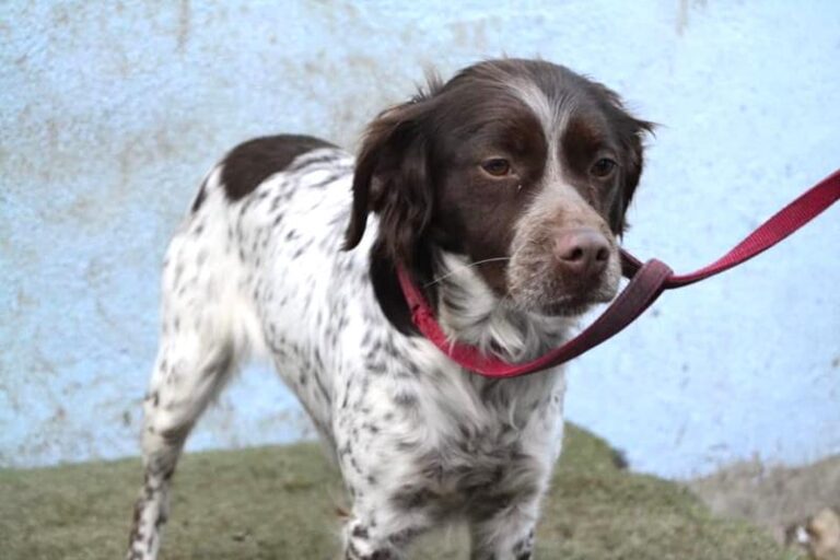 multimedia-foto62632-737-1