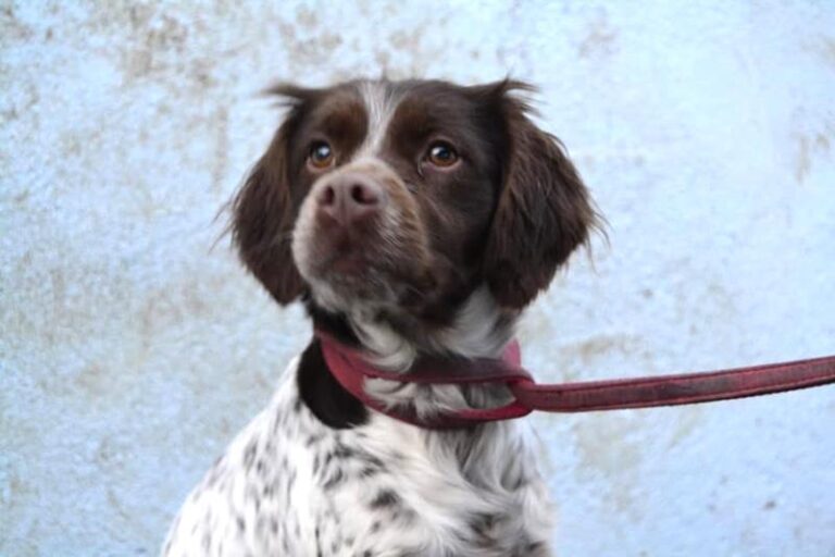 multimedia-foto62633-737-1