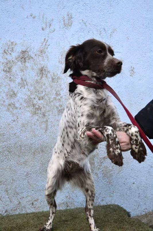 multimedia-foto62634-737-1