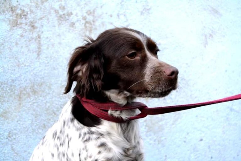 multimedia-foto62635-738-1