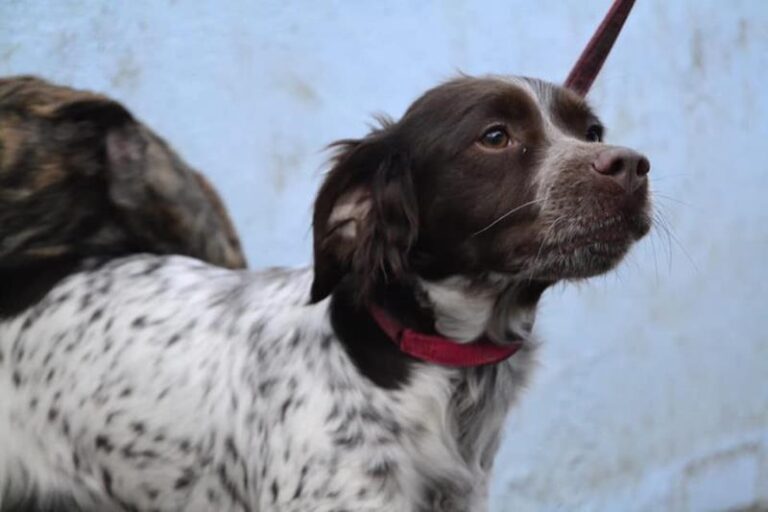 multimedia-foto62636-738-1