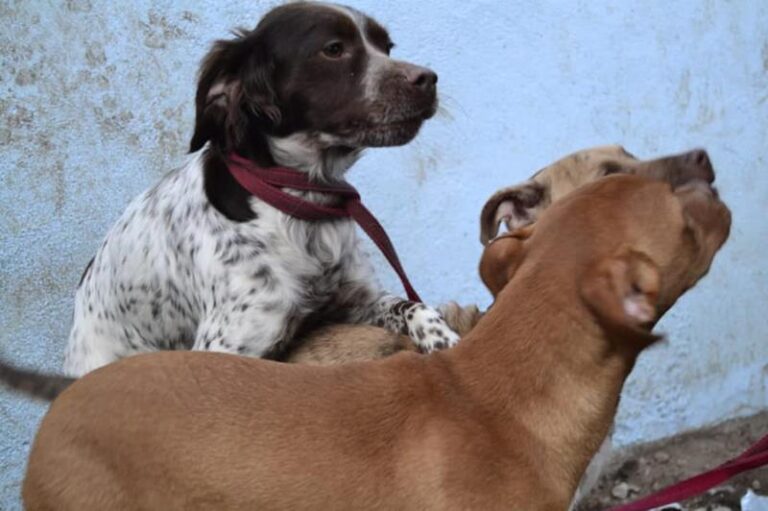 multimedia-foto62637-738-1