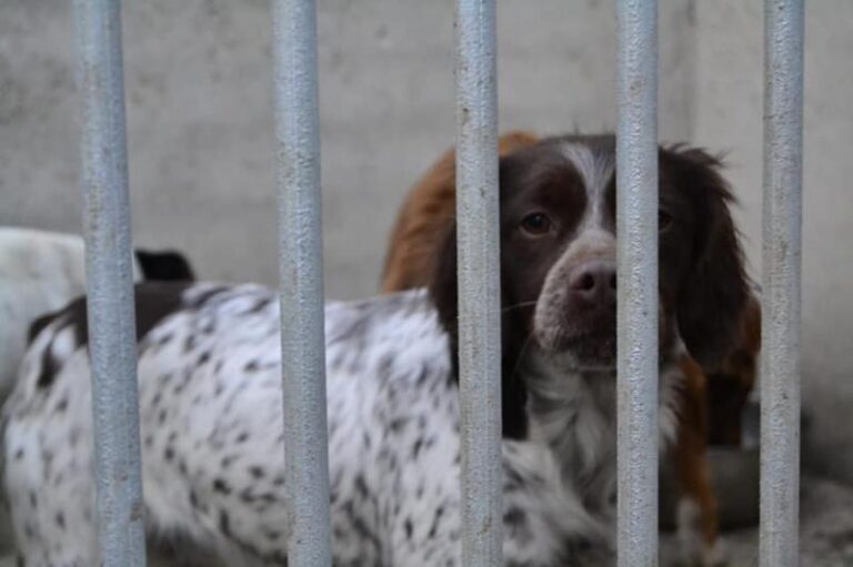 multimedia-foto62638-738-1