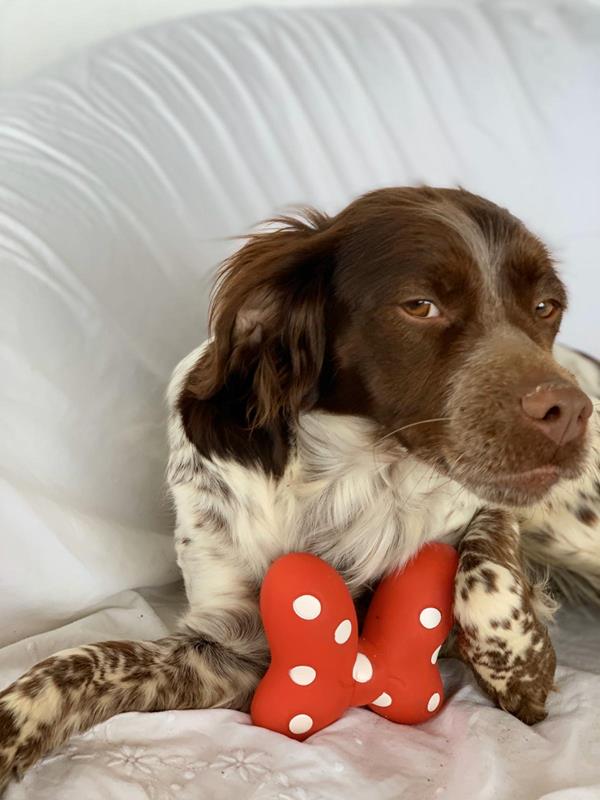 multimedia-foto62639-738-1