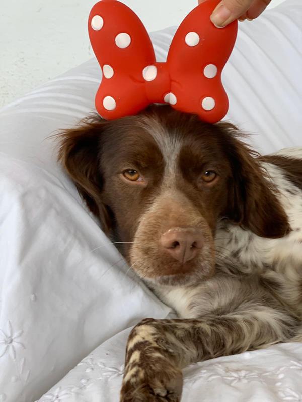 multimedia-foto62641-739-1