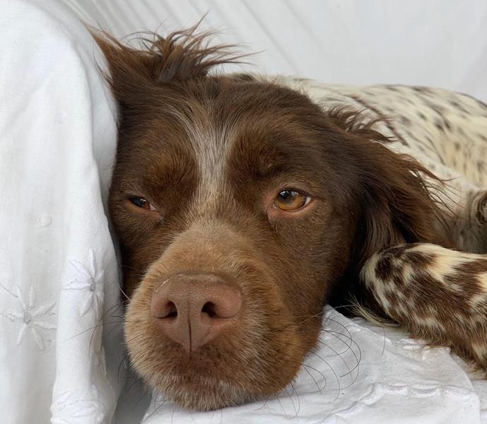 multimedia-foto62642-739-1