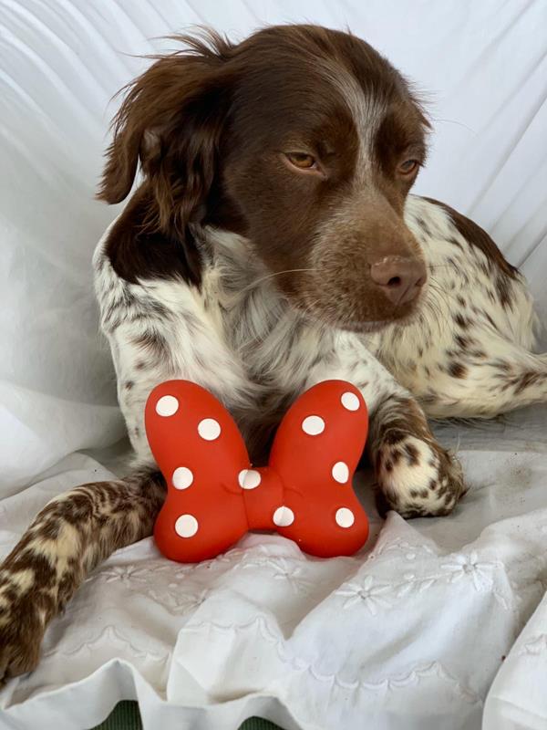 multimedia-foto62643-739-1