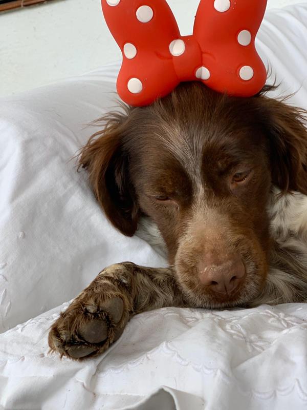 multimedia-foto62645-740-1