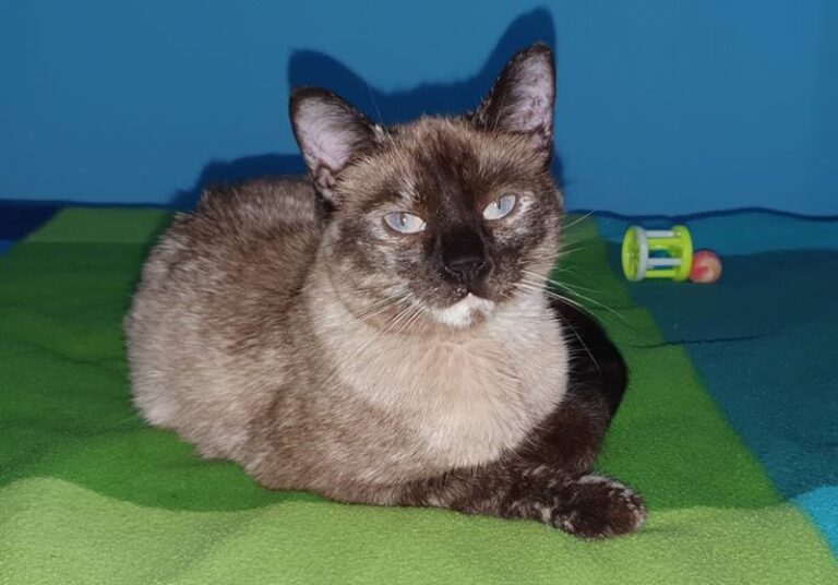 multimedia-foto62657-84-1