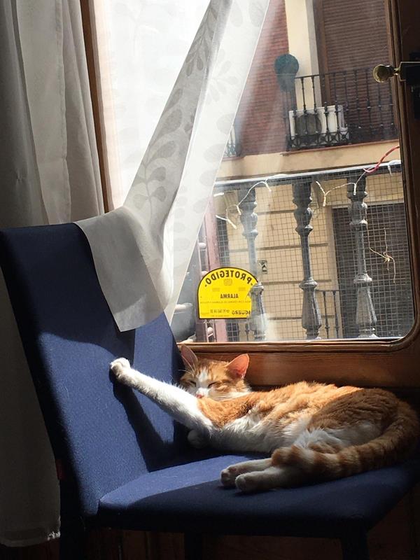 multimedia-foto62663-921-1