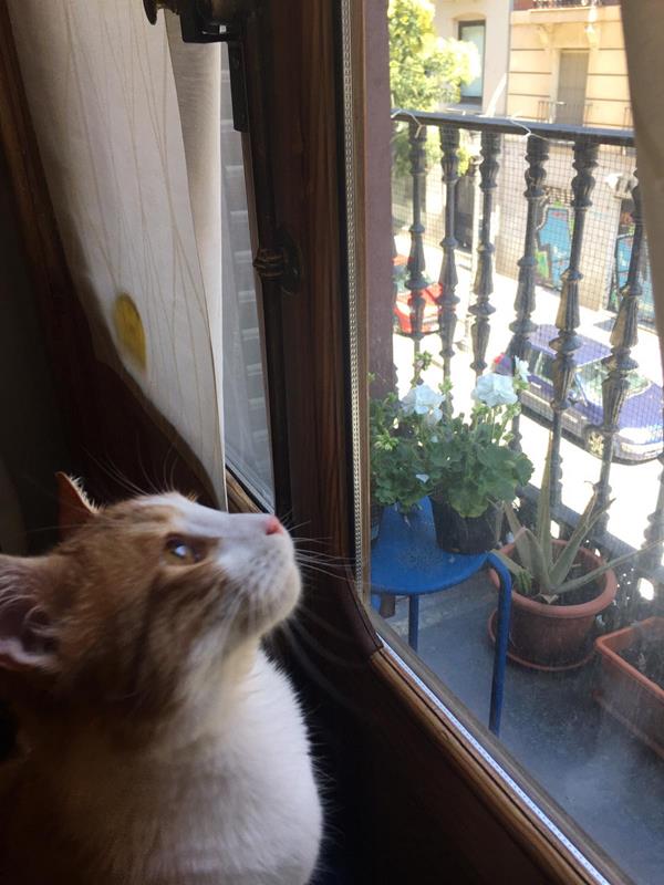 multimedia-foto62664-921-1