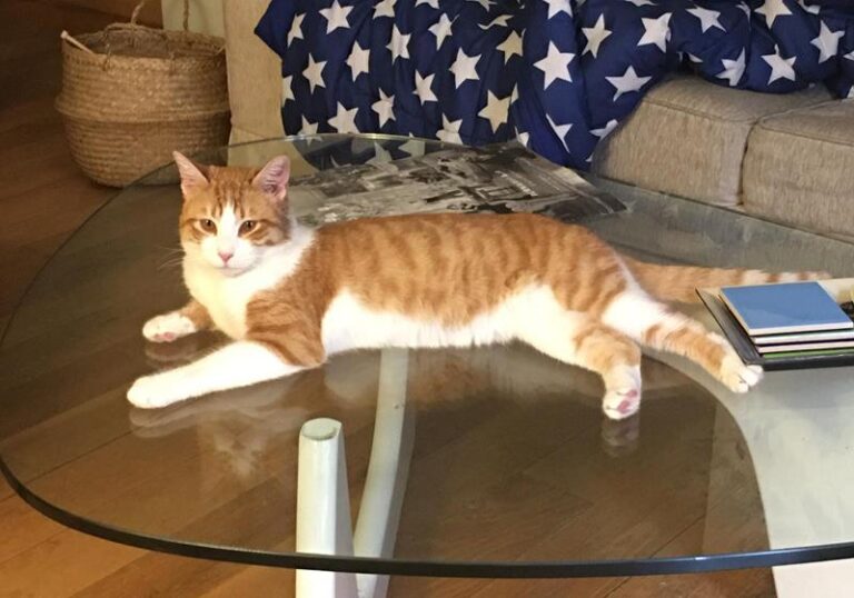 multimedia-foto62667-922-1