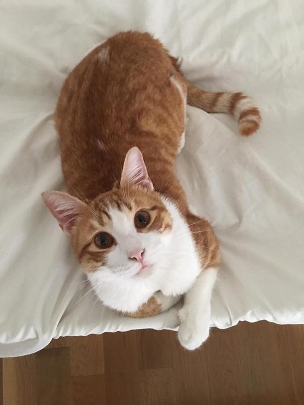 multimedia-foto62669-922-1