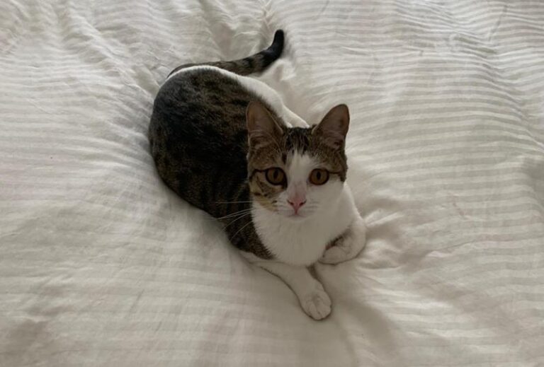 multimedia-foto62673-15-1