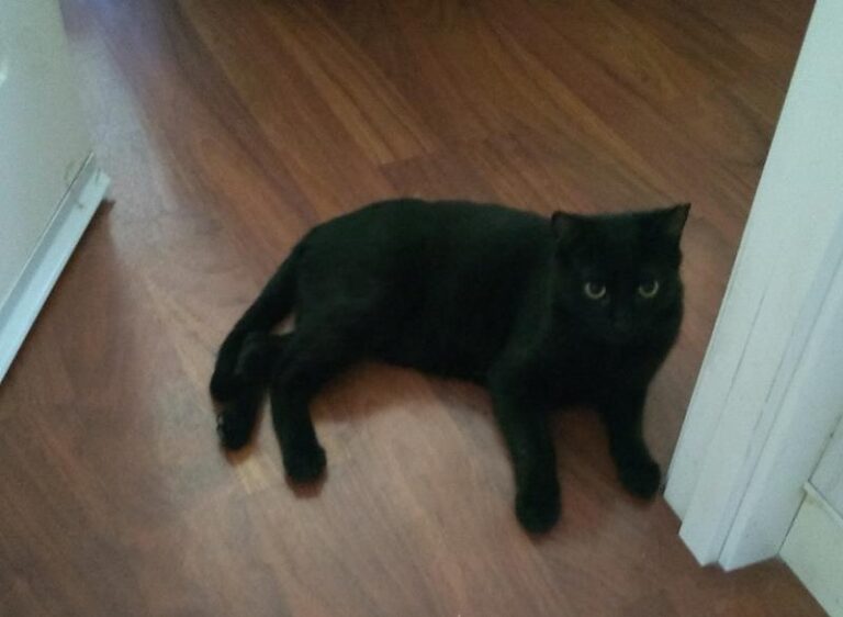 multimedia-foto62679-476-1