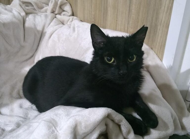 multimedia-foto62680-476-1