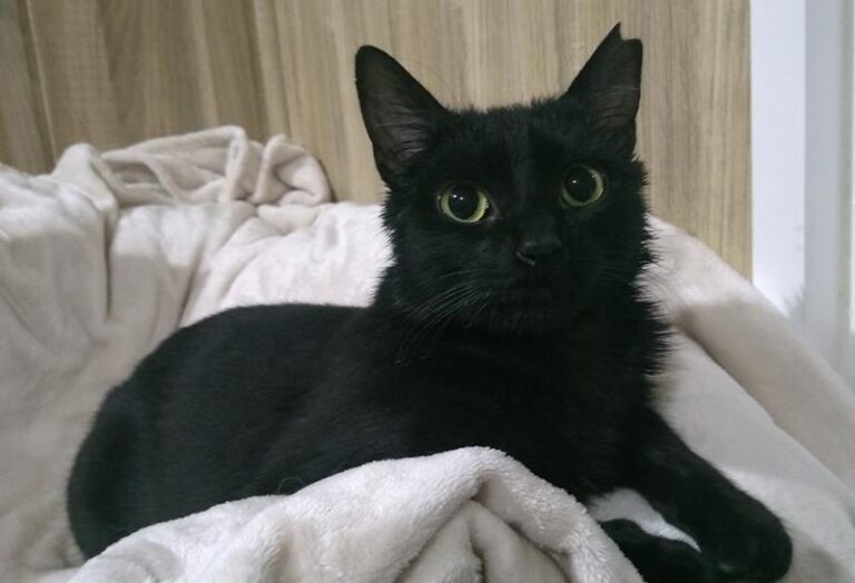 multimedia-foto62681-477-1