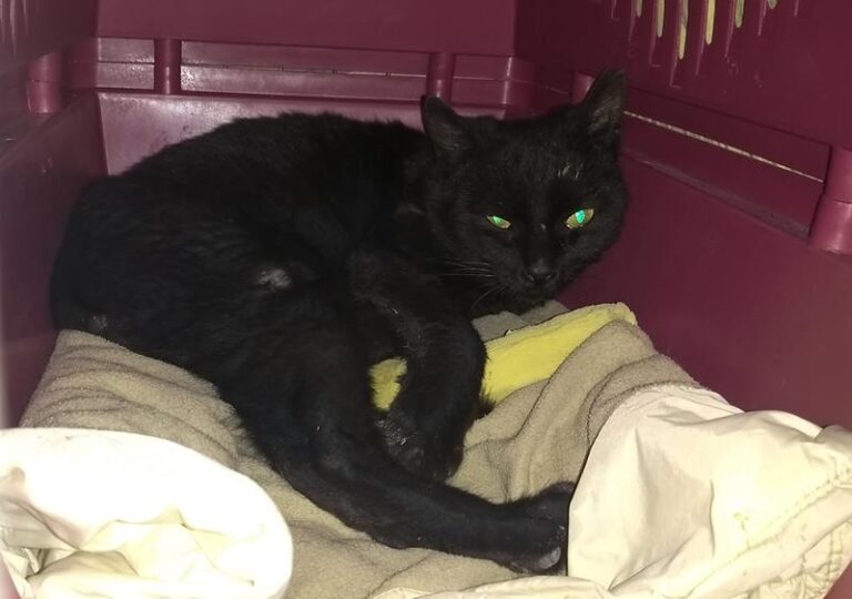 multimedia-foto62686-524-1