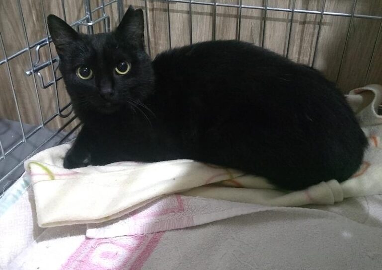 multimedia-foto62688-524-1