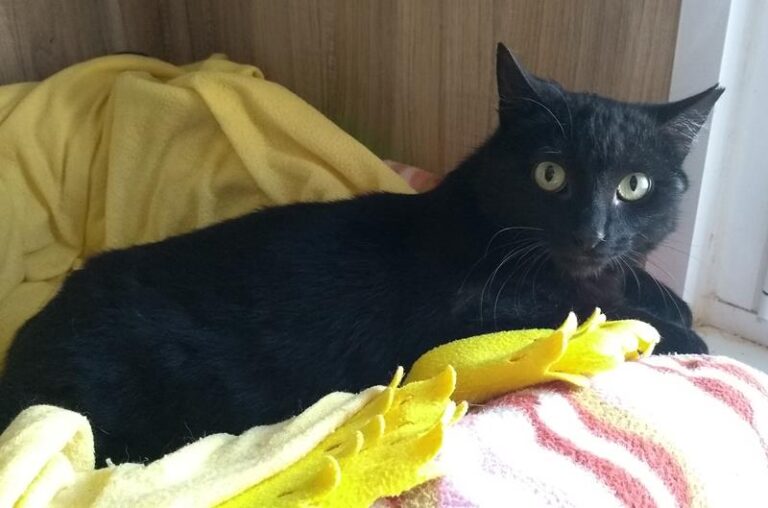 multimedia-foto62689-525-1