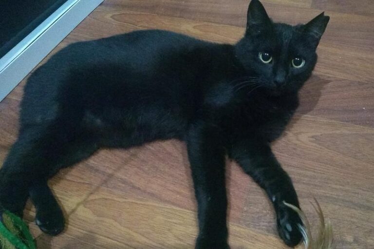 multimedia-foto62690-525-1