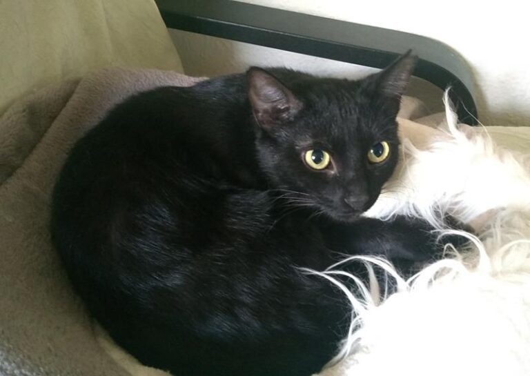 multimedia-foto62691-525-1