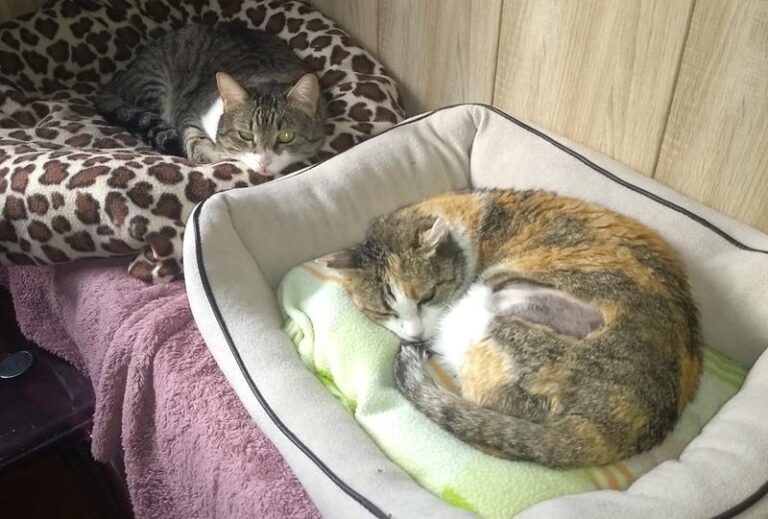 multimedia-foto62701-372-1