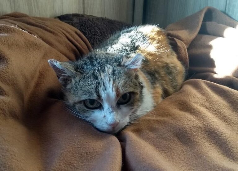 multimedia-foto62705-373-1