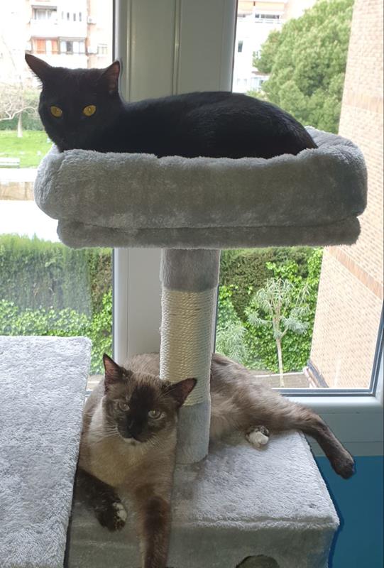 multimedia-foto62721-61-1