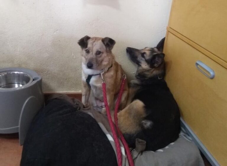 multimedia-foto62736-565-1