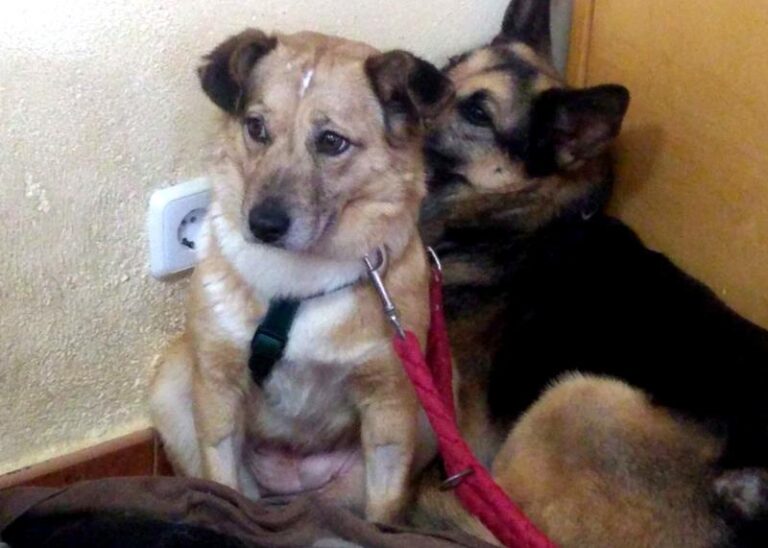 multimedia-foto62737-565-1