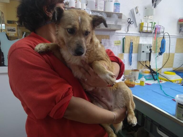 multimedia-foto62738-565-1