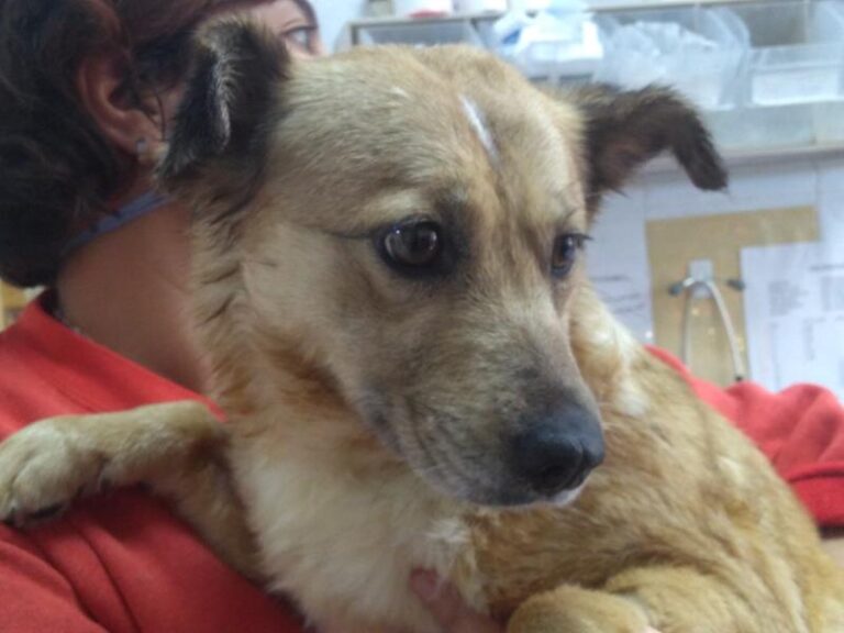 multimedia-foto62739-565-1