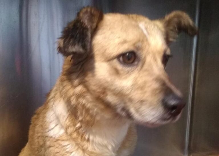 multimedia-foto62741-566-1