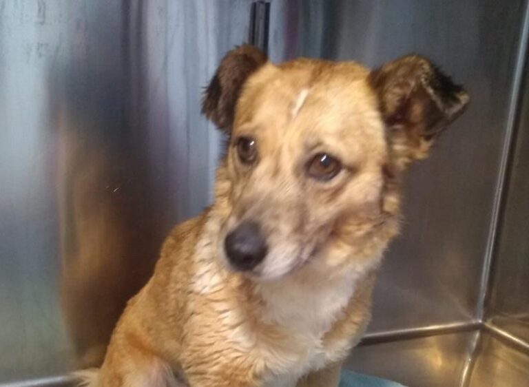 multimedia-foto62742-566-1