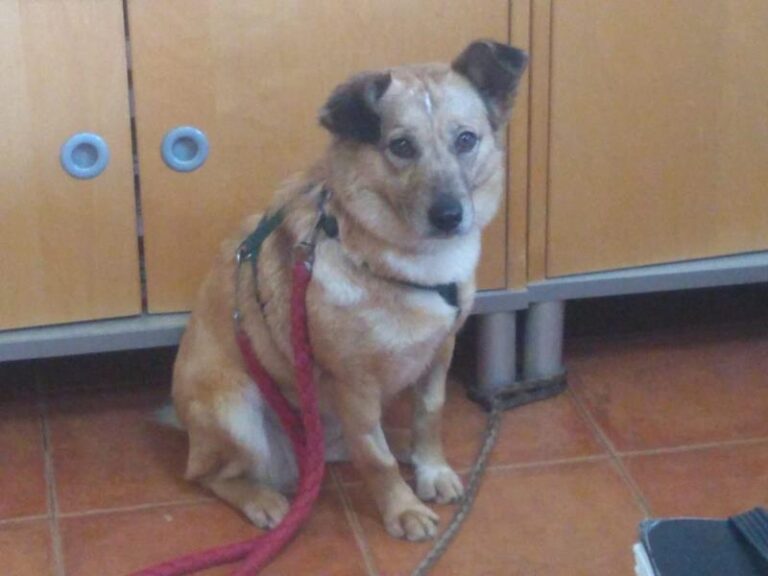 multimedia-foto62743-566-1