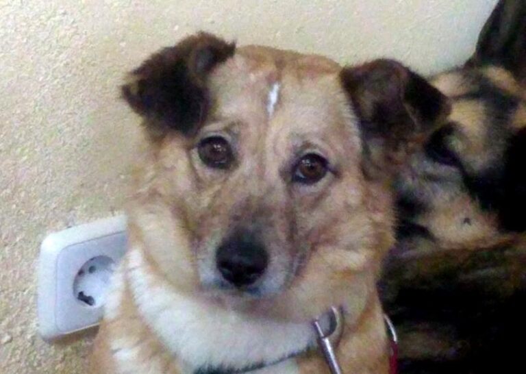 multimedia-foto62744-566-1