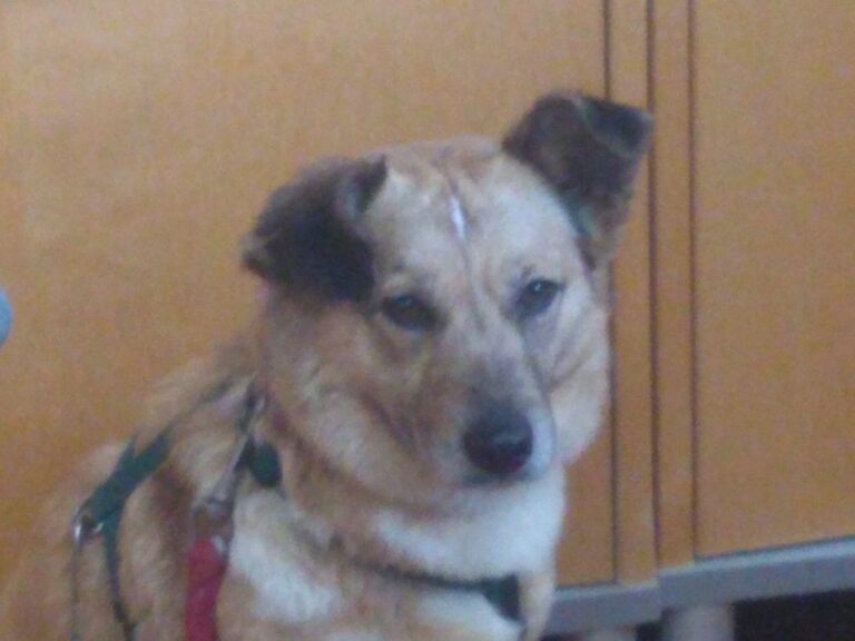 multimedia-foto62745-566-1