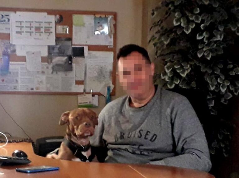 multimedia-foto62750-207-1