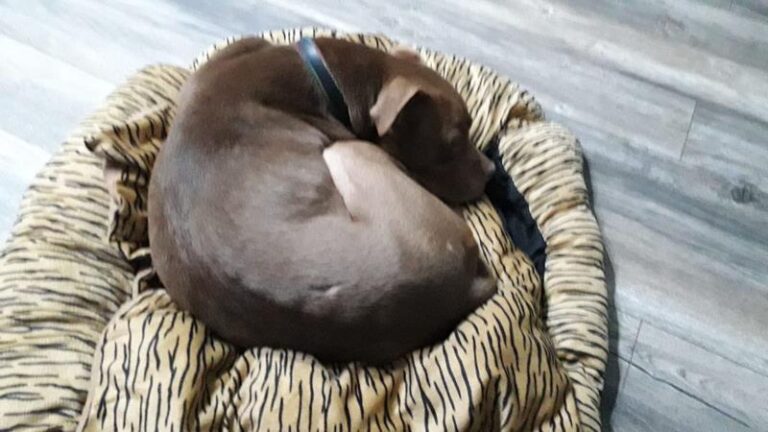 multimedia-foto62751-207-1