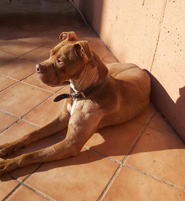 multimedia-foto62752-207-1