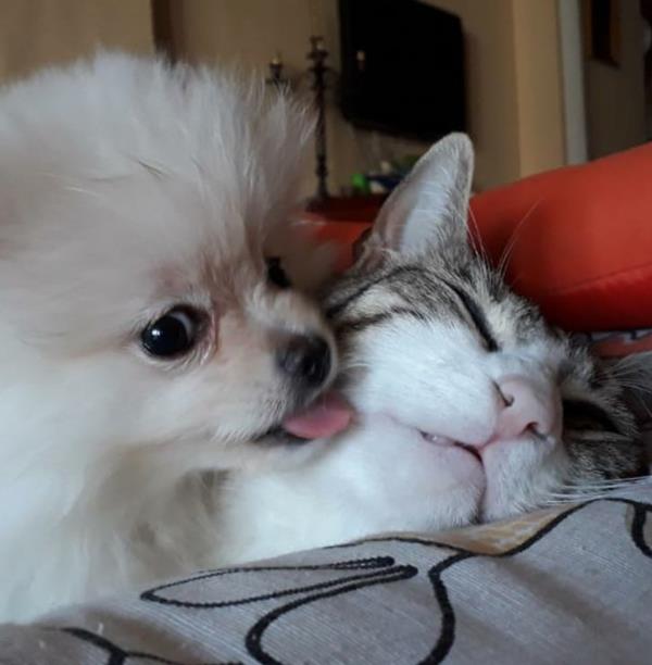 multimedia-foto62762-902-1