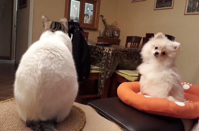 multimedia-foto62763-902-1