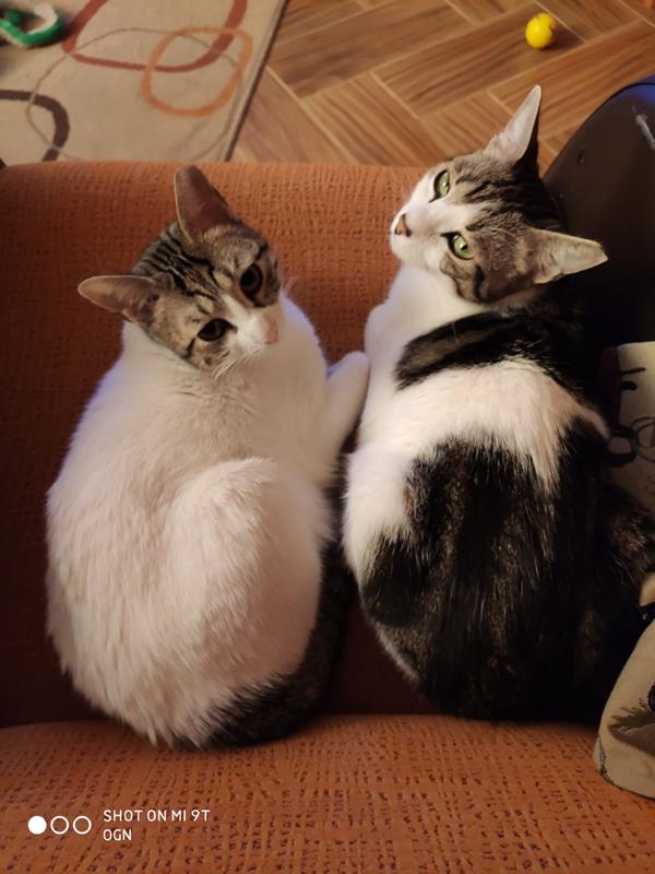 multimedia-foto62765-902-1