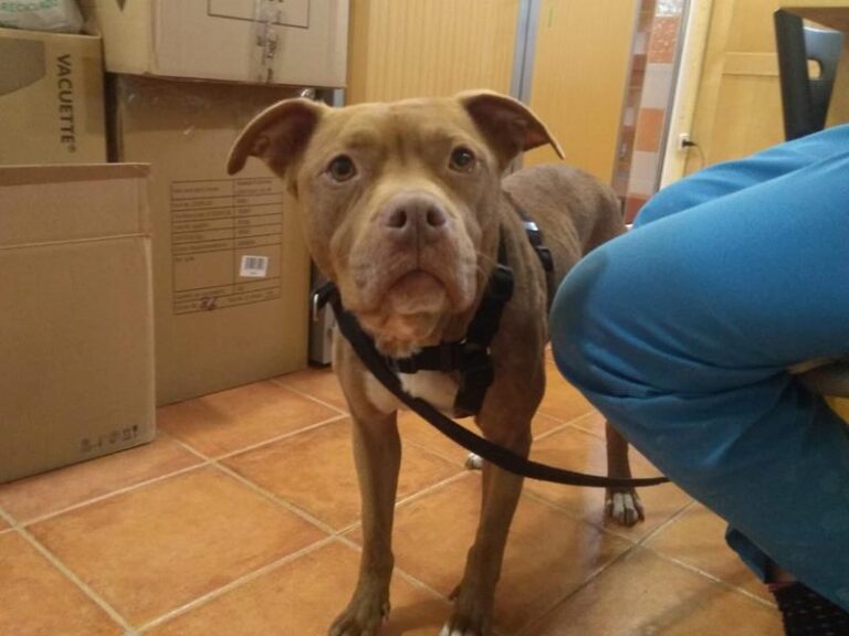 multimedia-foto62792-973-1