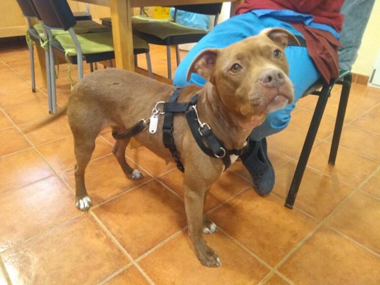 multimedia-foto62793-973-1