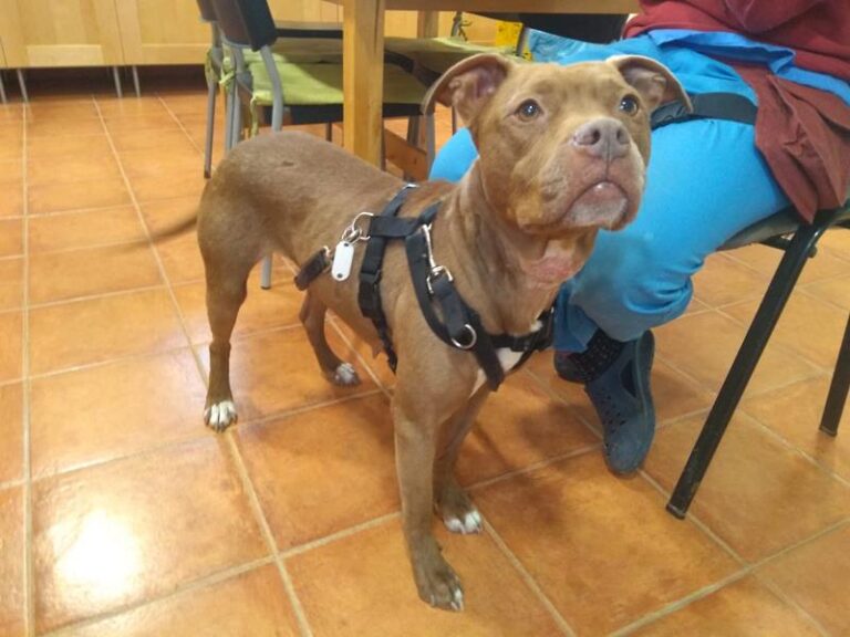 multimedia-foto62794-973-1