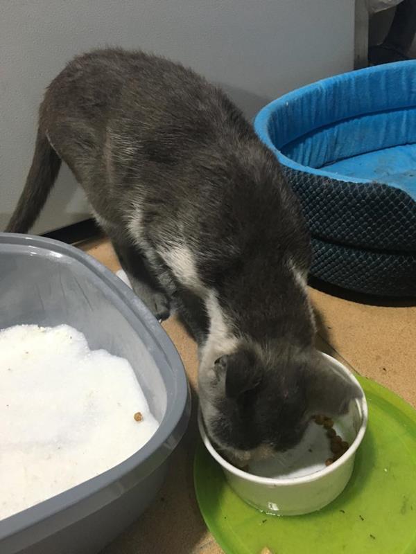 multimedia-foto62802-386-1