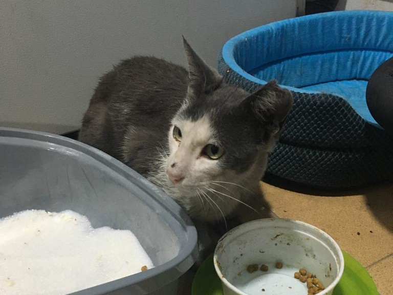 multimedia-foto62803-386-1